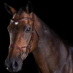 Collegiate Comfitec Training Bridle