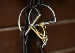 ProSeries Derby Bit - D Ring -Equestrian Supplies Store EHI TIEC finals 2 fc875200 cc3b 44c5 b1b8 09b2f5237457 jpg