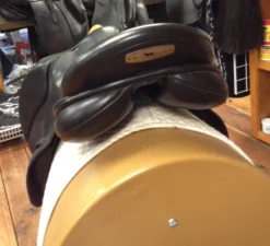 Black Country Tex Eventer - 19" -Equestrian Supplies Store IMG 4618