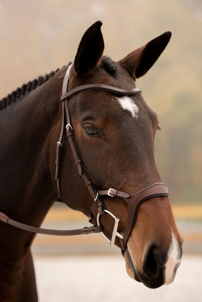 KL Select Tucson Bridle 1 KL Select Tucson Bridle