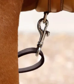 Premier Equine Baressa Elastic Jumping Breastplate -Equestrian Supplies Store PEBarissaBreastplategirthattatchment