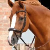 Premier Equine Savuto Anatomic Bridle With Crank Noseband And Flash