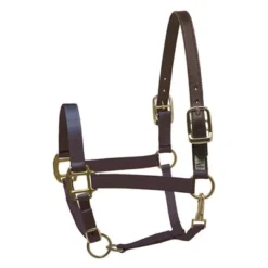 Perri's Safety Halter -Equestrian Supplies Store Perri sSafetyHalternavy