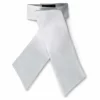 RJ Classics Radnor Traditional Stock Tie