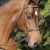 Arc De Triomphe Tribute Bridle With Raised Fancy Laced Reins