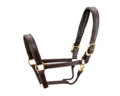 Walsh Signature Padded Halter