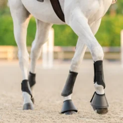 Equifit Essential® Everyday™ Front Boots -Equestrian Supplies Store download 4