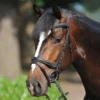 Kavalkade Ivy Dressage Bridle