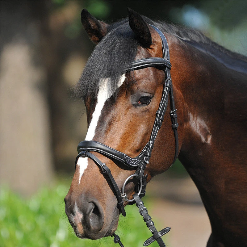 Kavalkade Ivy Dressage Bridle 1 Kavalkade Ivy Dressage Bridle