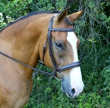 Red Barn Ocala Hunter Bridle 1 Red Barn Ocala Hunter Bridle