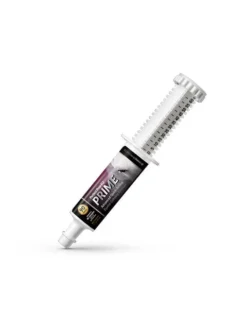 Perfect Prep EQ™ Prime